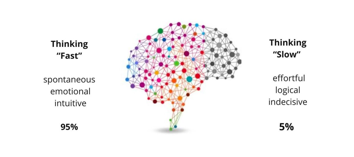 Brain in two parts one is the intuitive part and one the rational one
