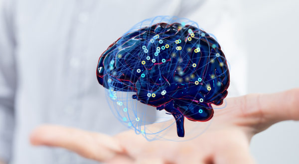 human brain mind idea symbol